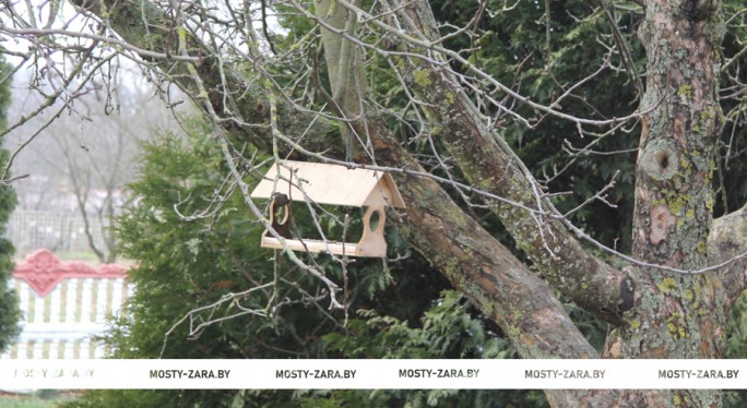 Ученики Куриловичской школы обустроили кормушки для птиц