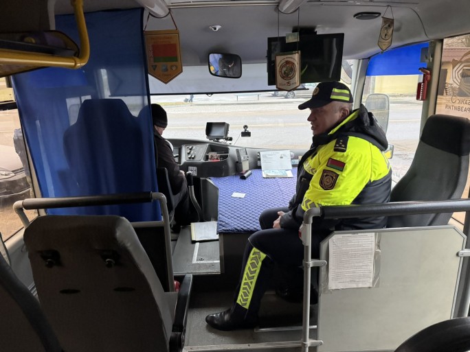 Происшествие в д. Стукалы: пострадал ребенок