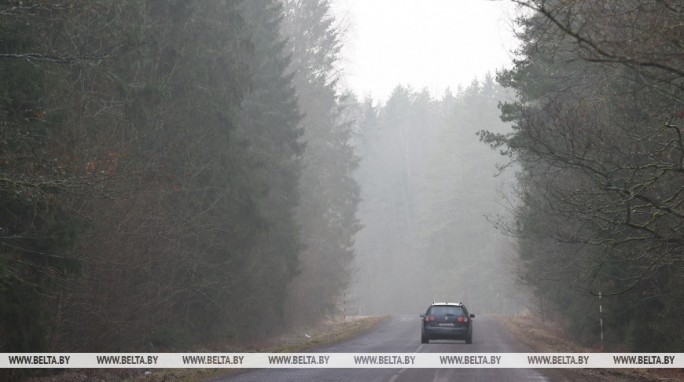 Переменная облачность, на отдельных участках дорог - гололедица. Какой будет погода в Беларуси 24 декабря