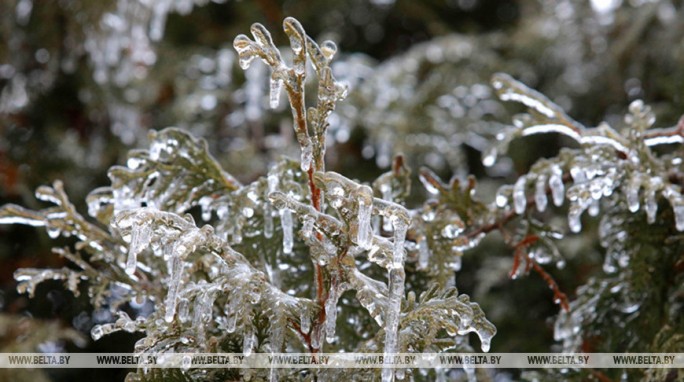 О факторах опасности при гололедице напомнили в МЧС