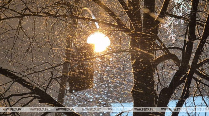 Оранжевый уровень опасности из-за усиления ветра во многих районах Беларуси объявлен на 28 декабря