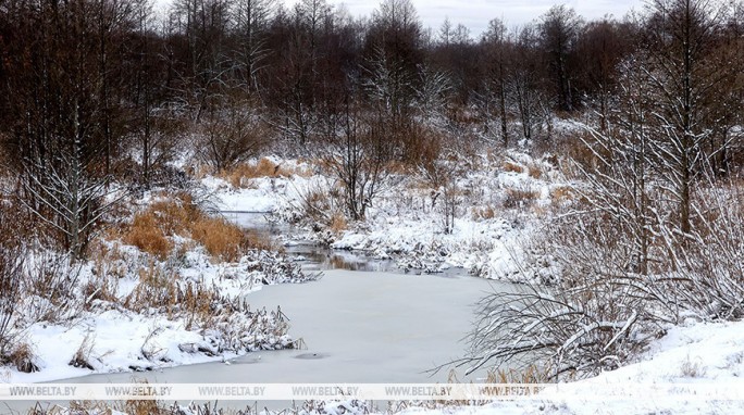 Правительство утвердило госпрограмму 'Экология' на 2026-2030 годы