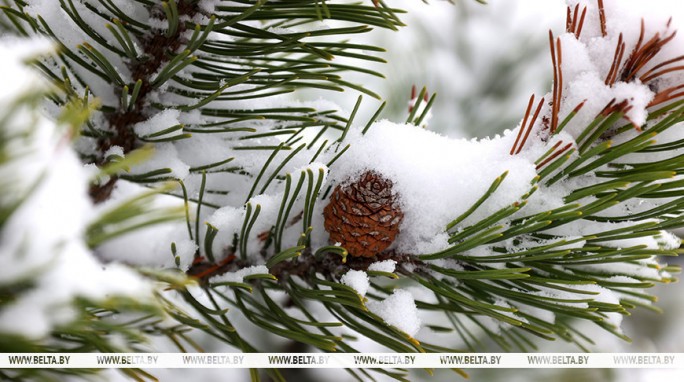 Слабая метель и до -6°С прогнозируют в Беларуси 3 января