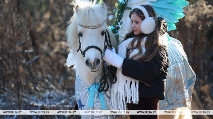 Своенравные и игривые или серьезные и вдумчивые? Узнали самые необычные факты о главном символе года