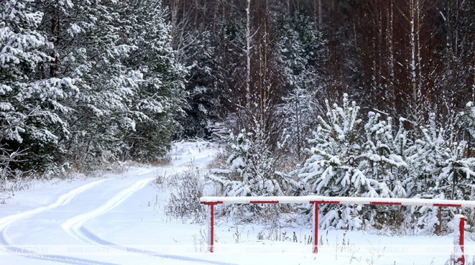 Облачность, гололедица и снег ожидаются в Беларуси 4 января