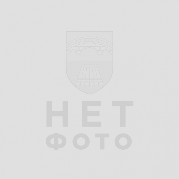 Традиционное новогоднее мероприятие «Бабушкин хоровод» прошло в Мостах