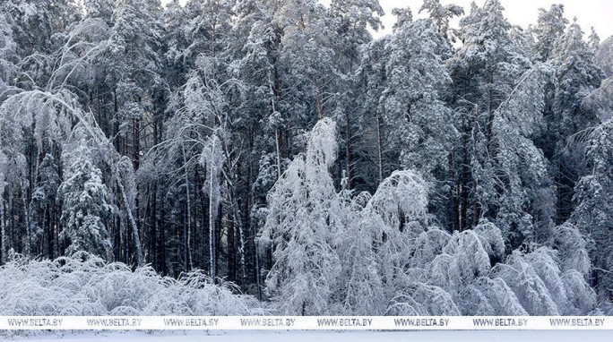 Ночью до -25..-30°С. Оранжевый уровень опасности объявлен в Беларуси 15 января