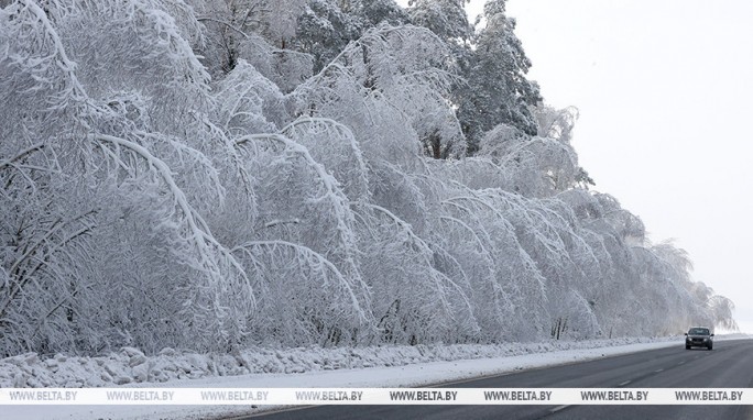 Местами изморозь, на отдельных участках дорог - гололедица. Какой будет погода в Беларуси 16 января