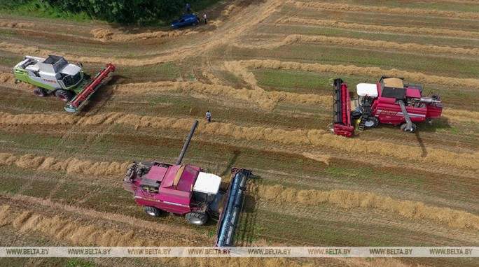 Порядок в райагросервисе