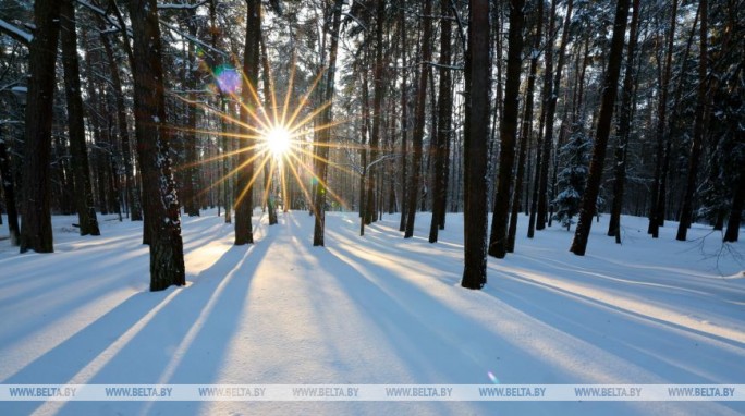 До -25°С: чего ждать белорусам от погоды 20 января