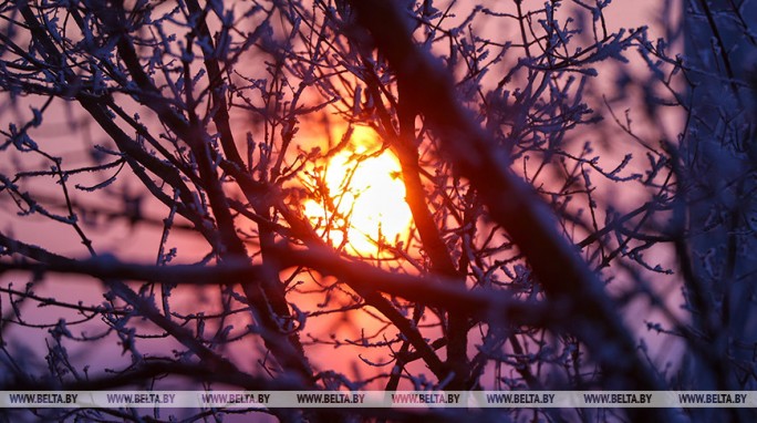 Небольшой снег, на отдельных участках дорог - гололедица. Синоптики о погоде в Беларуси 23 января