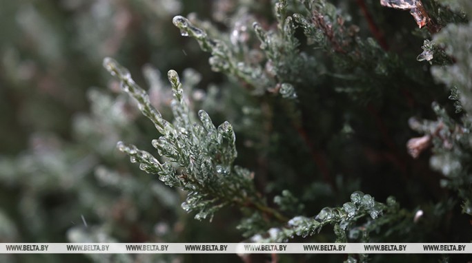 Снег с дождем, на дорогах - гололедица. Какой будет погода в Беларуси 28 января