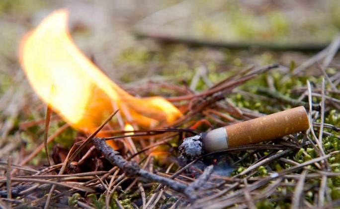 Брошенный окурок - причина пожара