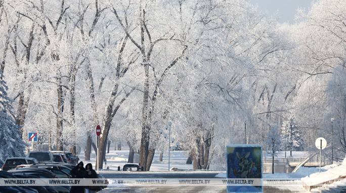 Порывистый ветер, гололед и до -24°С. Синоптики о погоде на 5 февраля