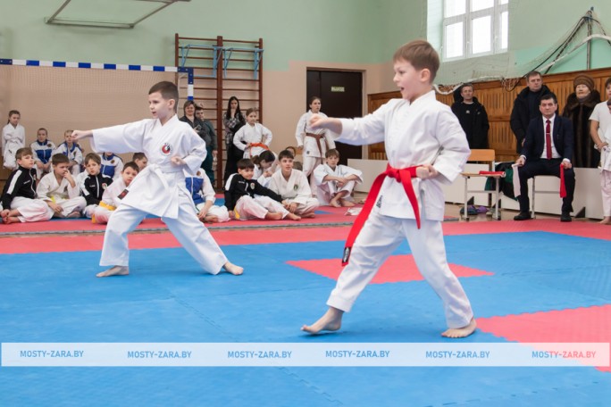 ФОТОФАКТ. В Мостах проходят республиканские соревнования по шотокан каратэ-до 'Масты перамогі'