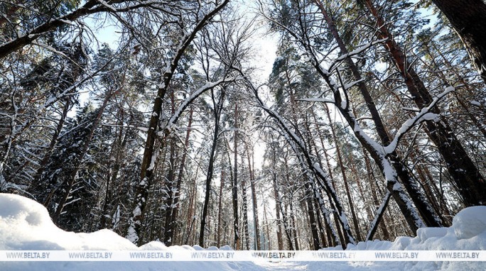 Ждать ли снега 18 февраля? Ответили синоптики