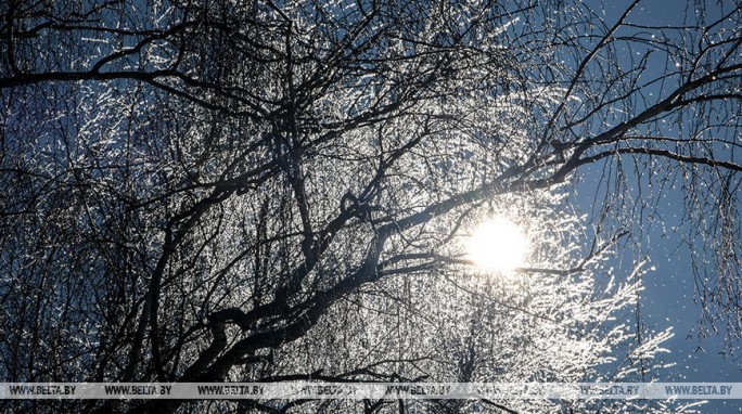 Какой регион Беларуси 19 февраля ждут 20-градусные морозы, рассказали синоптики