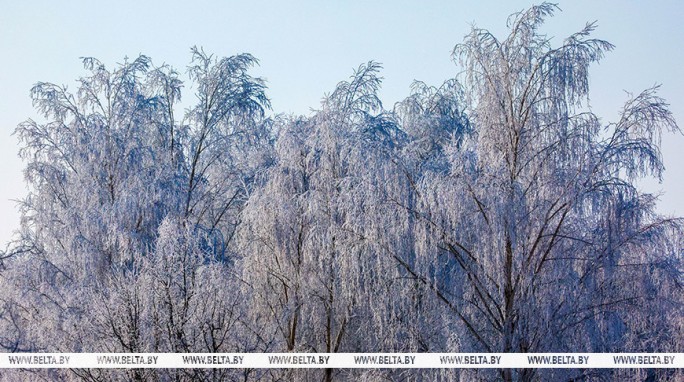 Насколько сильными будут морозы в ночь на 21 февраля, рассказали в Белгидромете
