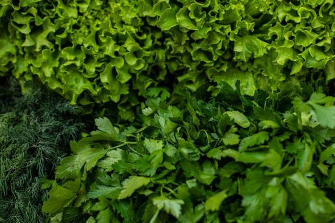 Почему стоит добавлять больше зелени в рацион, рассказала нутрициолог