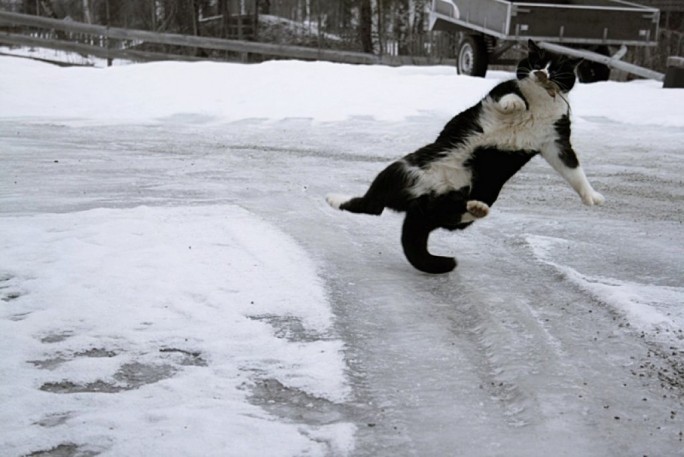 Предупреждение о неблагоприятном метеорологическом явлении!