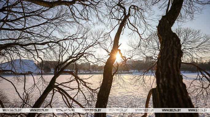 До +13°С. В какой области в Беларуси будет теплее всего 4 марта