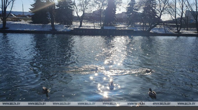 Снег или дождь: где в Беларуси пятница начнется с осадков, ответили синоптики