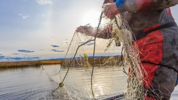 Добровольно – значит, без наказания
