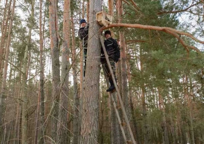 Акцию по встрече пернатых друзей и оказанию им помощи провели работники заказника «Липичанская пуща»