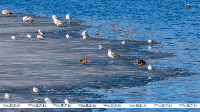 Будет ли теплым субботний день 14 марта? Рассказали синоптики