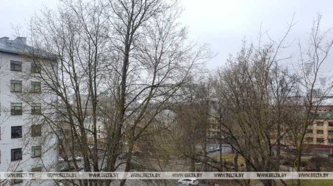 Понадобится ли белорусам зонт? Синоптики рассказали о погоде 21 марта