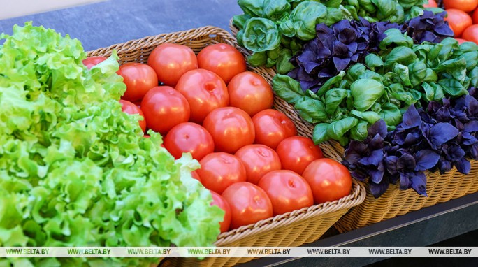 Долю продаж товаров отечественного производства в Беларуси планируют увеличить до 58% в 2026 году