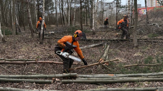 Наводим порядок вместе: на протяжении нескольких дней работники ОАО «Мостовдрев» убирали придорожную парковую зону у магазина «Евроопт»