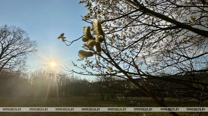 Все еще тепло? В Белгидромете рассказали о погоде в Беларуси 3 апреля