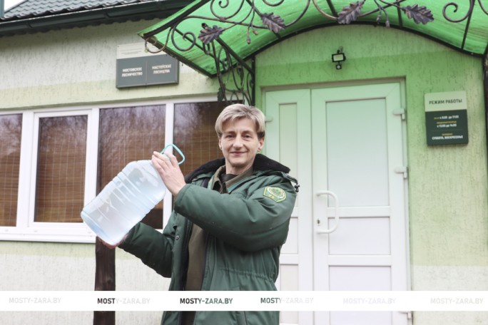 Хотите купить берёзовый  сок? Посетите Мостовское лесничество