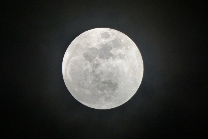 Лунный календарь для садоводов и огородников с 3 по 6 апреля 2026 года