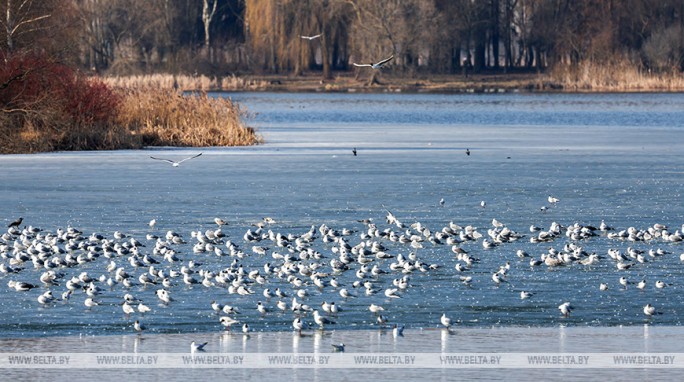 Какая погода ожидает белорусов 9 апреля? Рассказали синоптики