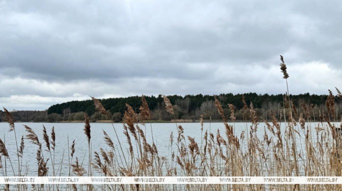 Зонт или солнечные очки? Синоптики дали прогноз погоды в Беларуси на 15 апреля