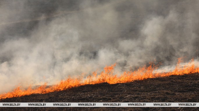 'Каждую весну соседи жгут прошлогоднюю траву'. Разрешены ли палы и как избежать опасности?