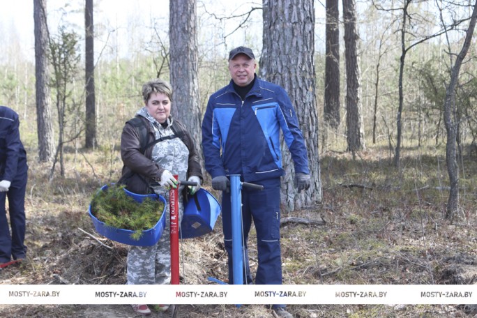 Всё больше добровольцев в Мостовском районе присоединяются к акции «Лес! Дабро! Парадак!»