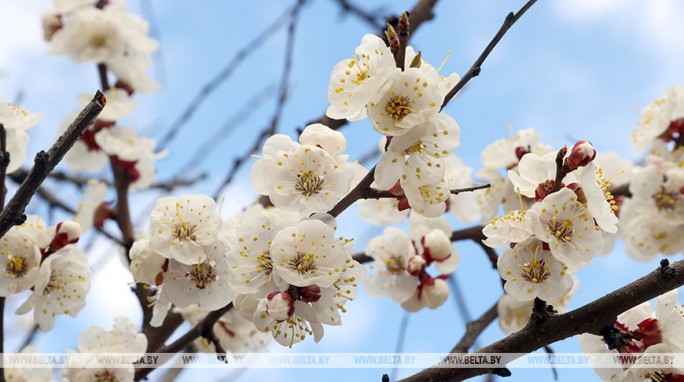 Кому в субботу не обойтись без зонта? Синоптики рассказали о погоде 18 апреля