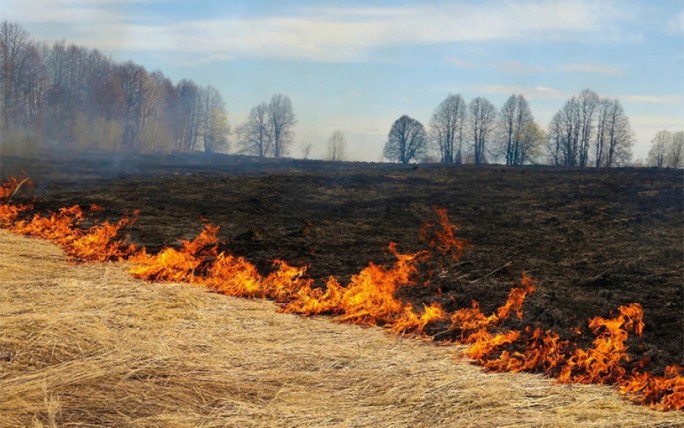 Весенние пожары: опасности и меры предосторожности