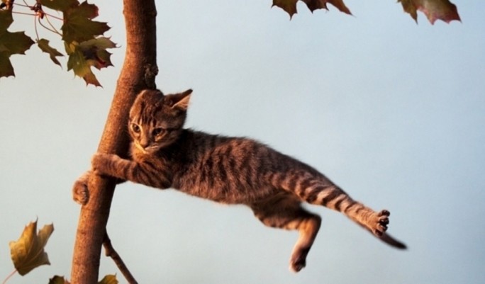 Предупреждение о неблагоприятном метеорологическом явлении!