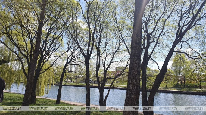 Заморозков еще не будет. Синоптики рассказали о погоде 26 апреля