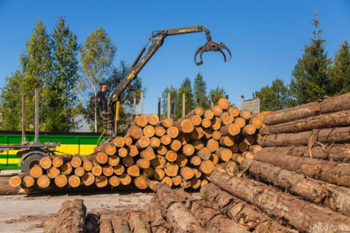 Проблемные вопросы приобретения населением деловой древесины