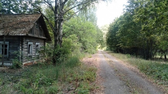 Зона отчуждения: природа и человек