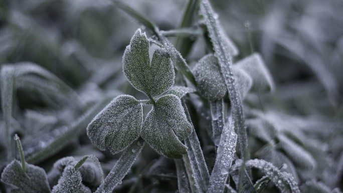 ВНИМАНИЕ!!! Штормовое предупреждение об опасном гидрометеорологическом явлении!