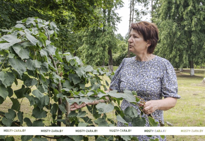 Яе гаспадарка: як лунненская настаўніца ўжо некалькі дзясяткаў гадоў упрыгожвае родны куток