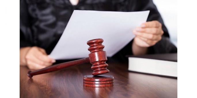 Судом Мостовского района постановлен приговор по уголовному делу по факту хищения пчелиных семей