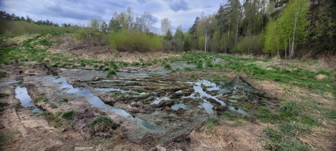 Выявленные Комитетом государственного контроля Гродненской области нарушения при исполнении поручения Главы государства о наведении порядка на земле и соблюдении природоохранного законодательства