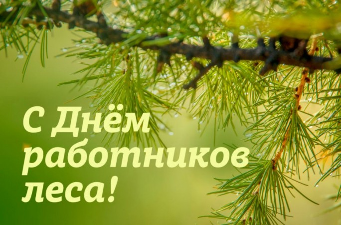 Поздравление с Днём работников леса и лесоперерабатывающей промышленности от мостовских властей